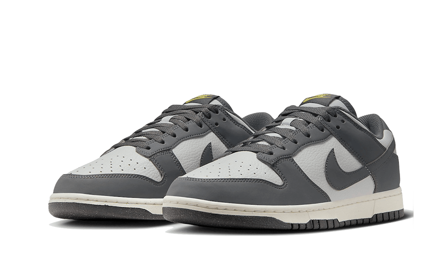 Nike Dunk Low Next Nature Iron Gray Lightning