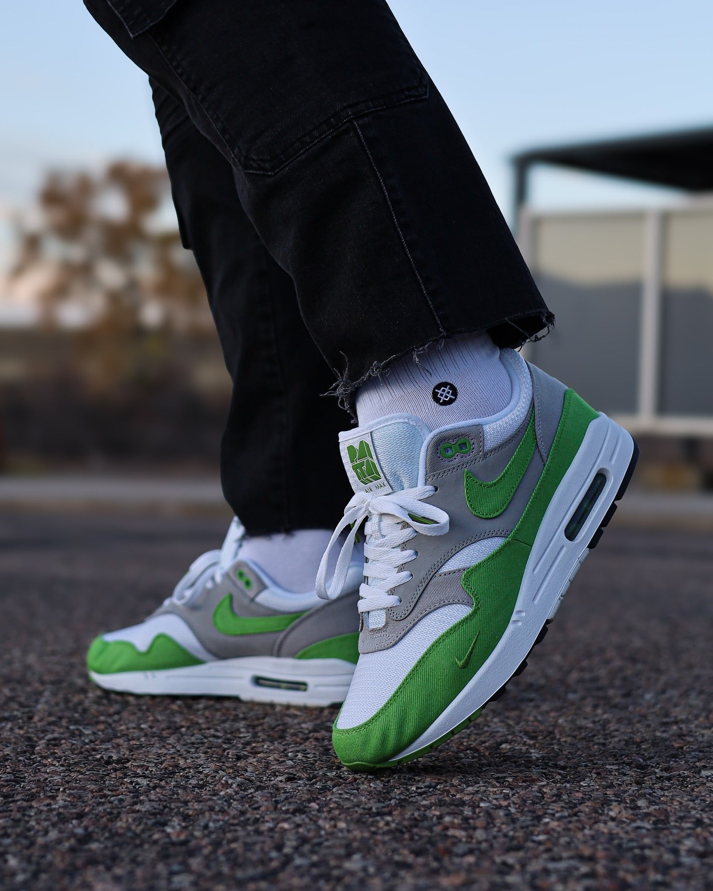Nike Air Max 1 SP Chlorophyll 2024 x Patta