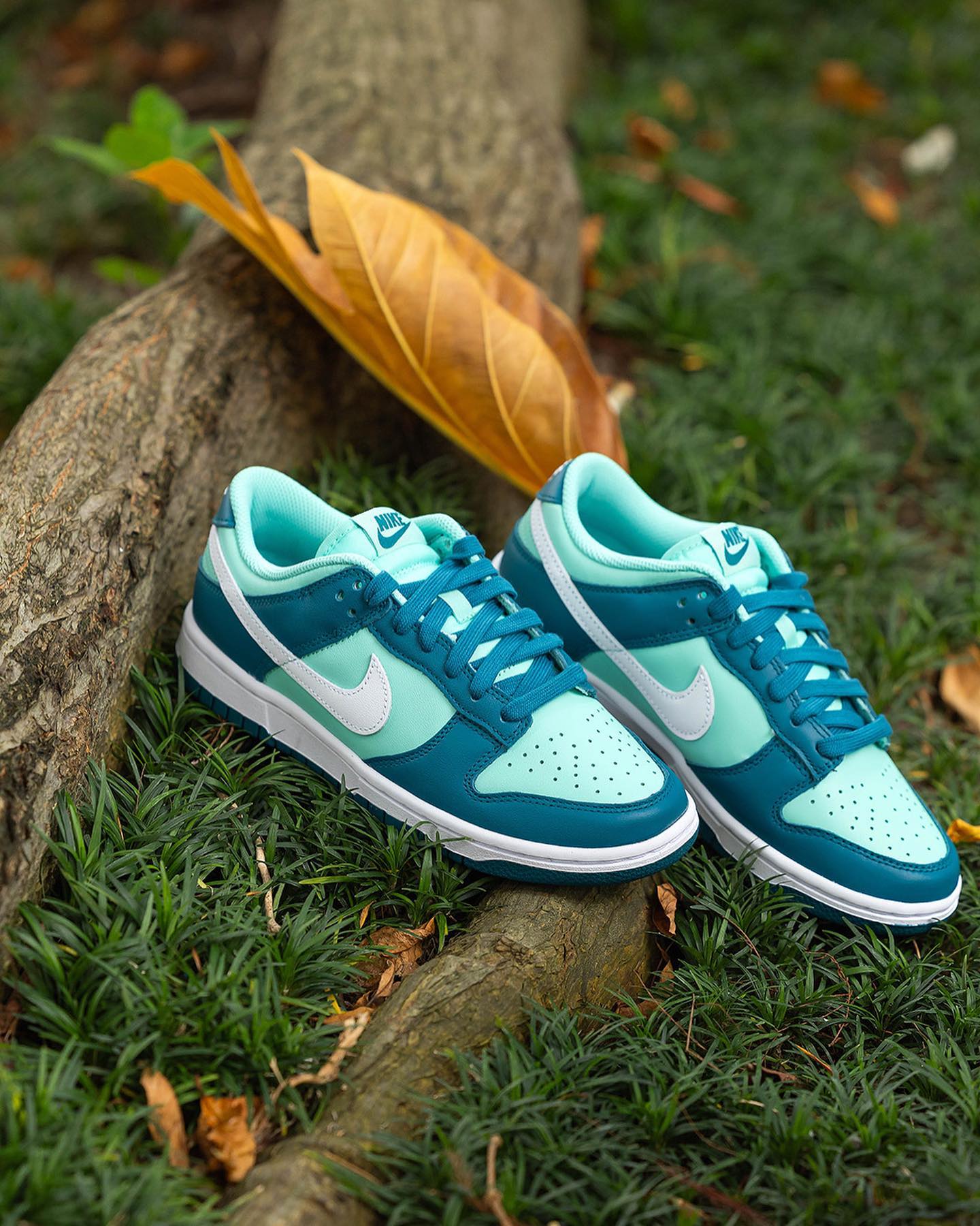 Nike Dunk Low Geode Teal
