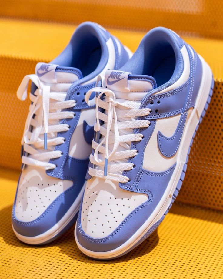 Nike Dunk Low Polar Blue (SALE)